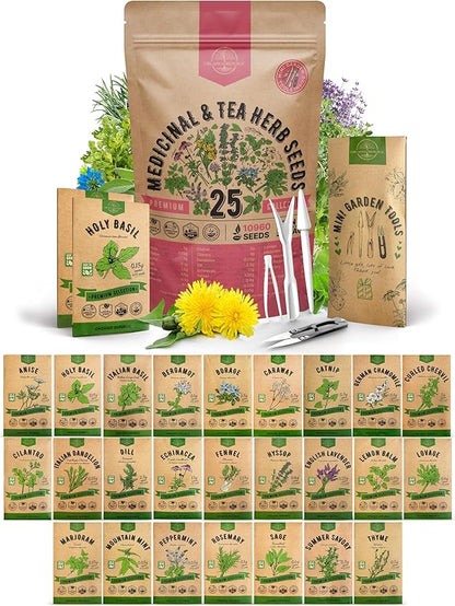 Organo Republic 25 Medicinal &amp; Tea Herb Seeds Variety Pack for Indoor &amp; Outdoors. 10900+ Non-GMO Heirloom Garden Seeds: Anise, Borage, Cilantro, Chamomile, Dandelion, Rosemary, Peppermint Seeds
