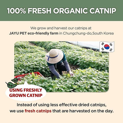 JAYU PET Active Catnip Spray - High Potency Transparent Liquid Spray made of Fresh Organic Catnip for Indoor Cats and Kittens, Relieves Stress, Calming, Revives Toys (1fl oz) (Catnip Spray, 1fl oz)