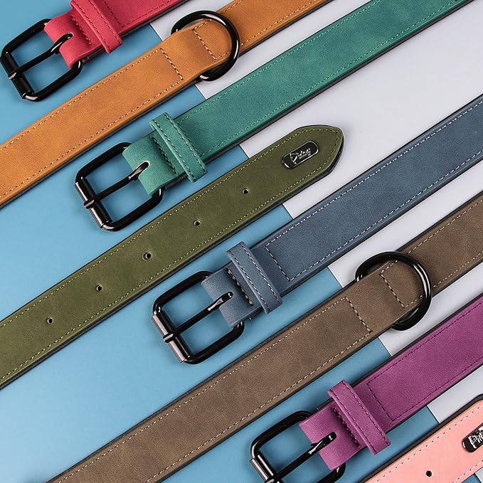 Didog Soft Padded Leather Dog Collar, Breathable Heavy Duty Dog Collar Leather with Adjustable Rust-Proof Metal Buckle for Small Medium Large Dogs, Green, M: Total length 16&