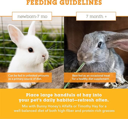 Orchard Grass Hay for Guinea Pigs, Rabbits, Hamsters &amp; Small Pets by Bunny Honey - Fresh, High-Fiber, Supports Digestive Health &amp; Dental Care, Non-Blended &amp; Fresh Cut