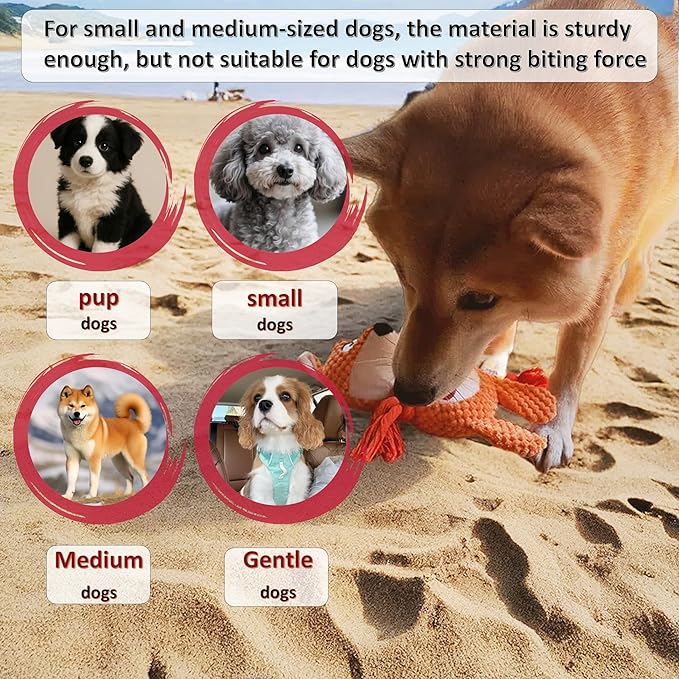 Nana Petit Fox Squeaky Dog Toys for Small &amp; Medium Dogs – Plush Chew Toy, Interactive Puppy Teething Toys for Aggressive Chewers, Cute Stuffed Animal for Play, Training &amp; Indoor Fun
