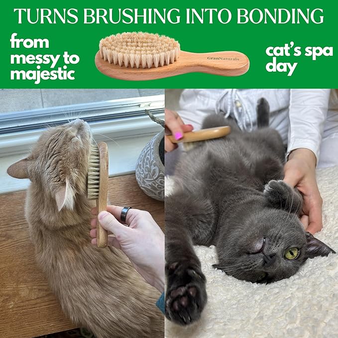 GranNaturals Boar Bristle Soft Cat Brush for Indoor, Outdoor, Short Haired Cats, Kittens, Small Dog, Rabbit, Furry Pets - Gentle Grooming on Sensitive Hair Coat &amp; Tail with Durable Wooden Handle
