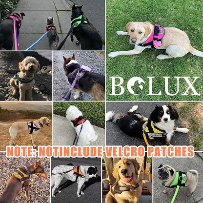 Bolux Dog Harness, No-Pull Reflective Dog Vest, Breathable Adjustable Pet Harness with Handle for Outdoor Walking - No More Pulling, Tugging or Choking (XX-Large (Pack of 1), YellowOrange)