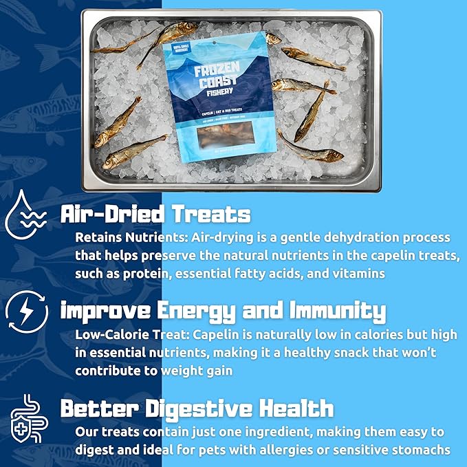 Frozen Coast Capelin Cat &amp; Dog Treats- Single-Ingredient, All-Natural, High-Protein, Omega-3s, Fish Snacks (3 oz Bag)
