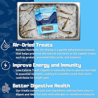 Frozen Coast Capelin Cat &amp; Dog Treats- Single-Ingredient, All-Natural, High-Protein, Omega-3s, Fish Snacks (3 oz Bag)