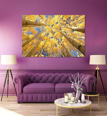 Nature Wall Art Prints - Ocean Forest Mountain Lake Canvas Landscapes - Small to Extra Large Living Room Bedroom Kitchen Bathroom Décor (Reaching for the Sky, 28L" x 41W")