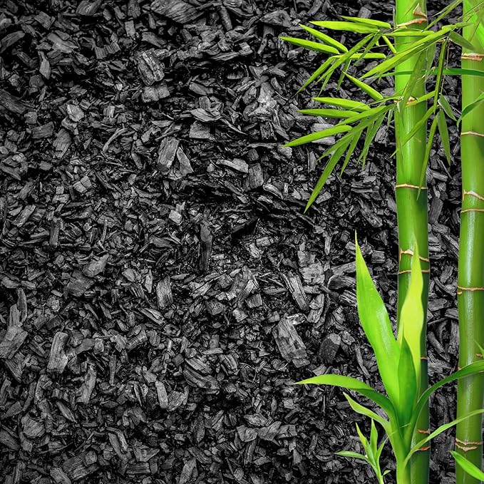 Horticultural Charcoal for Plants – Organic Bio Char Soil Amendment for Terrariums, Indoor Plants &amp; Gardening, Made in USA (15 quarts)