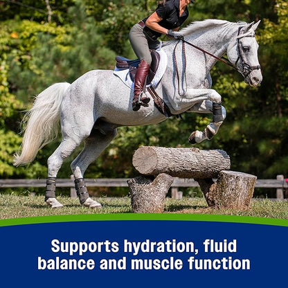 Farnam Apple Elite Electrolyte Supplement for Horses, Replaces Vital Minerals, Encourages Hydration, No Added Sugar, 7.5 lb, 40 Day Supply