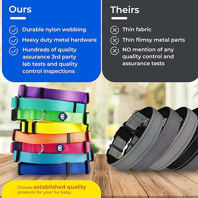 Blueberry Pet Essentials Medium Dog Collar in Emerald | Adjustable &amp; Eco-Friendly Durable Nylon Strap | Classic Collar for Medium Dogs, Boy &amp; Girl Pets