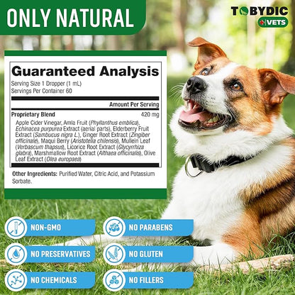 Dry &amp; Wet Kennel Cough Natural Medicine &amp; Relief for Dogs and Cats - Herbal Treatment Support Helps to Soothe Throat &amp; Respiratory Trachea Comfort Supplement for Pets - Made in USA