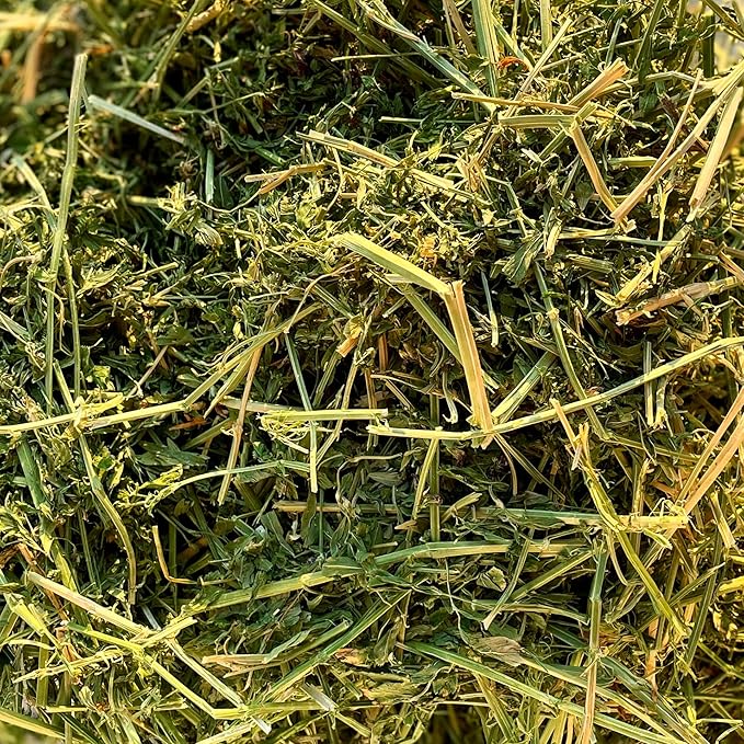 Blue Mountain Hay High-Altitude Hay - Organic Alfalfa, 5lb - High Protein, Fiber &amp; Mineral-Rich - Soft, Leafy, High Leaf Retention - Ideal for Goats, Rabbits, Guinea Pigs &amp; Other Small Animals