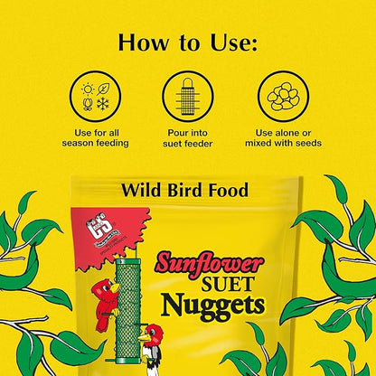 C&amp;S Sunflower Suet Nuggets, Suet Nuggets for Wild Birds, 27 Ounces