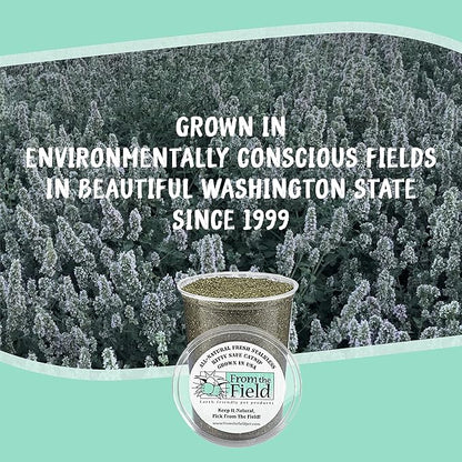 from The Field | Fine Ground Stalkless Catnip | Premium USA-Grown Catnip for Toys &amp; Playtime | Fresh, Potent, Non-Toxic, Eco-Friendly | Safe for Kittens &amp; Cats | Resealable 10 Oz Bag
