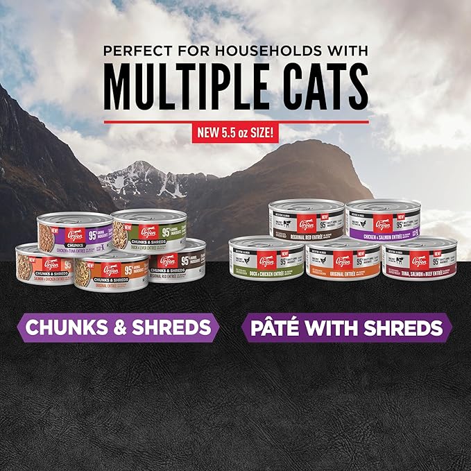 ORIJEN Premium Pate Wet Kitten Cat Food in Bone Broth Chicken &amp; Salmon Entrée 5.5oz Cans (6 Count)