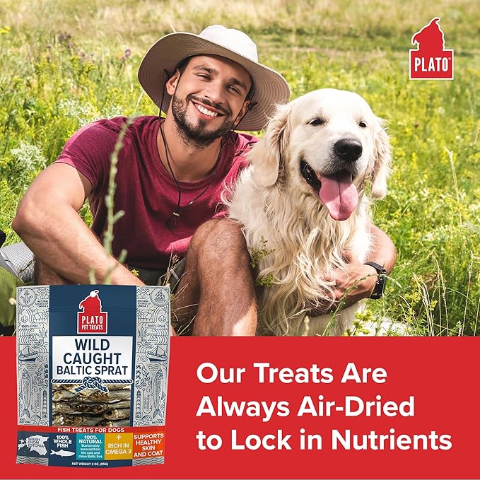 PLATO Pet Treats Fish Dog Treats - Air-Dried, Single Ingredient Dog Treat - with Omega 3 &amp; 6 Fatty Acids to Support Skin and Coat - 100% Whole Fish - Wild Caught Baltic Sprat Dog Treats - 7.5 oz