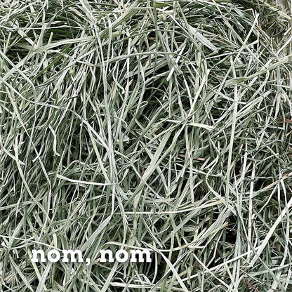 Orchard Grass Hay for Guinea Pigs, Rabbits, Hamsters &amp; Small Pets by Bunny Honey - Fresh, High-Fiber, Supports Digestive Health &amp; Dental Care, Non-Blended &amp; Fresh Cut
