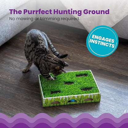 Catstages Grass Patch Hunting Box Interactive Bat &amp; Swat Game for Indoor Cats, 3 Jingle Balls Included, Green