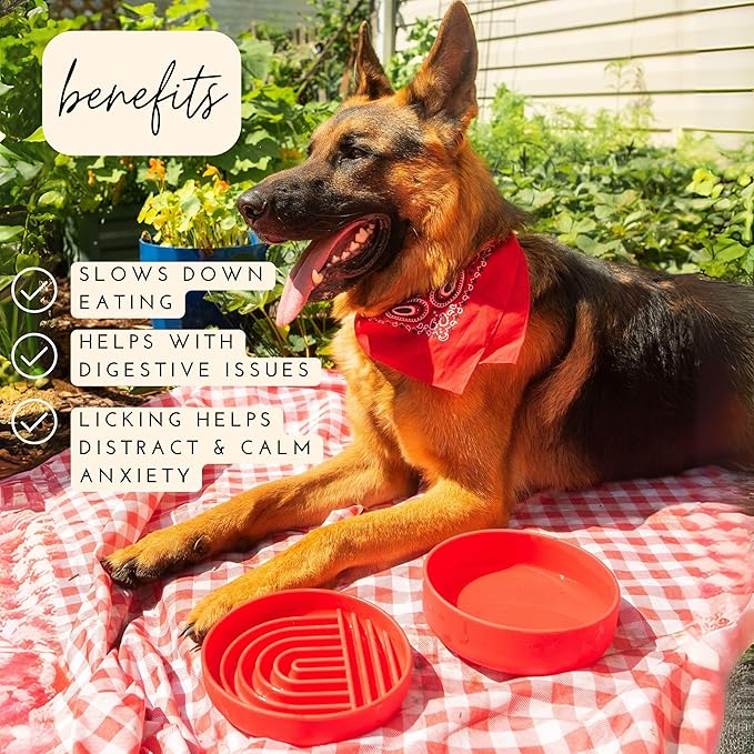 The Slowdown Bowl Silicone Slow Feeder for Dogs &amp; Puppies, Slow Eating, Modern Lick Mat Design, Reduces Gulping, Fits 2 Cups 7.5” Across x 1.5” Tall, Mealtime Challenge, Medium-Cherry