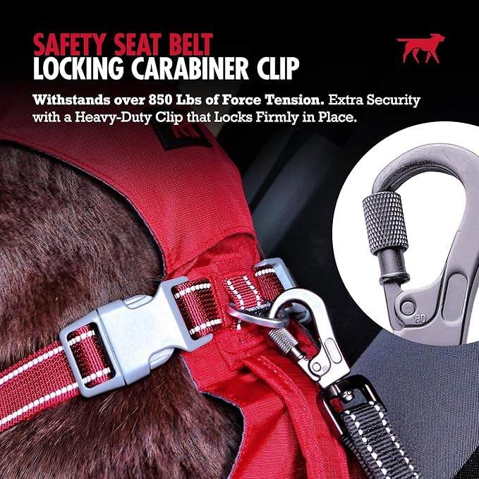Tuff Pupper Dog Seat Belt | Adjustable Length Dog Seatbelt Restraint | Tangle-Free Locking Carabiner | Shock-Absorbing Bungee | Reflective Stitching for Visibility | Universal Fit for Cars &amp; Trucks