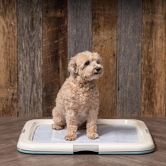IRIS USA Pee Pad Holder - For Potty Training Regular Sized Dog &amp; Puppy Pee Pads, Secured Latches, Non-Skid Feet, Leak Protection, Fits 22"x22" Pad or Larger, Square, Blue