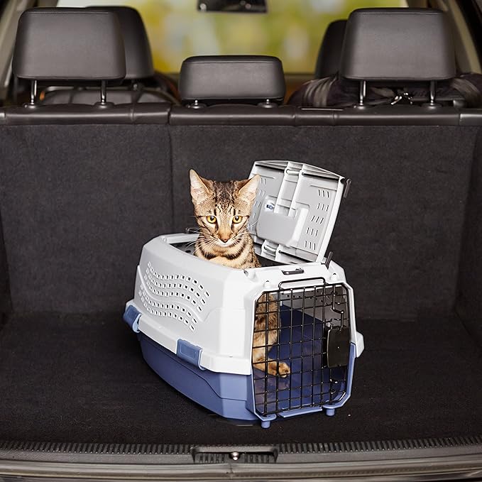 Amazon Basics 2-Door Top-Load Hard-Sided Cat Pet Travel Carrier, 19.0" L x 12.6" W x 10.0" H, Gray &amp; Blue