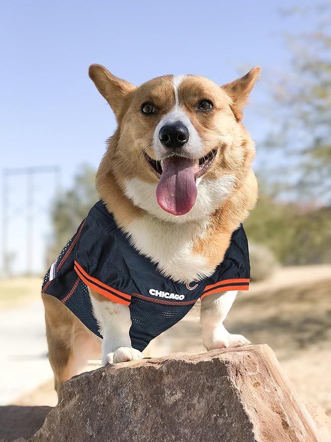NFL Chicago Bears Dog Jersey, Size: X-Small - Best Football Costume for Dogs &amp; Cats - Licensed Shirt