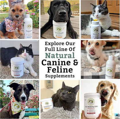 Wholistic Pet Organics Pure Colostrum - 1 Oz - Dog Allergy Relief &amp; Itchy Skin Treatment, Senior Dog Supplements &amp; Immune Support, Licking Paws, Anti Itch for Dogs and Cats