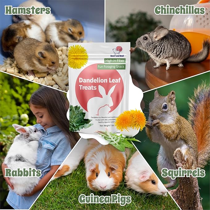 Snout and Shell Dandelion Leaf Treat for Small Pets – 1 oz (28g) | High-Fiber, Natural Foraging Snack for Rabbits, Guinea Pigs, Chinchillas, Squirrels &amp; More