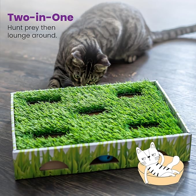 Catstages Grass Patch Hunting Box Interactive Bat &amp; Swat Game for Indoor Cats, 3 Jingle Balls Included, Green