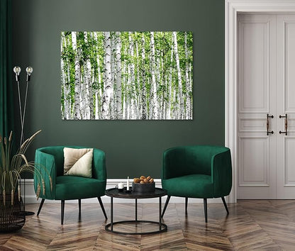 Nature Wall Art Prints - Ocean Forest Mountain Lake Canvas Landscapes - Small to Extra Large Living Room Bedroom Kitchen Bathroom Décor (Green Brich Trees, 20L" x 30W")