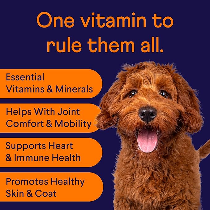 Finn All-in-1 Multivitamin for Dogs - Daily Multi with Probiotics, Omegas &amp; Nutrients to Support Everyday Wellness - 90 Soft Chews
