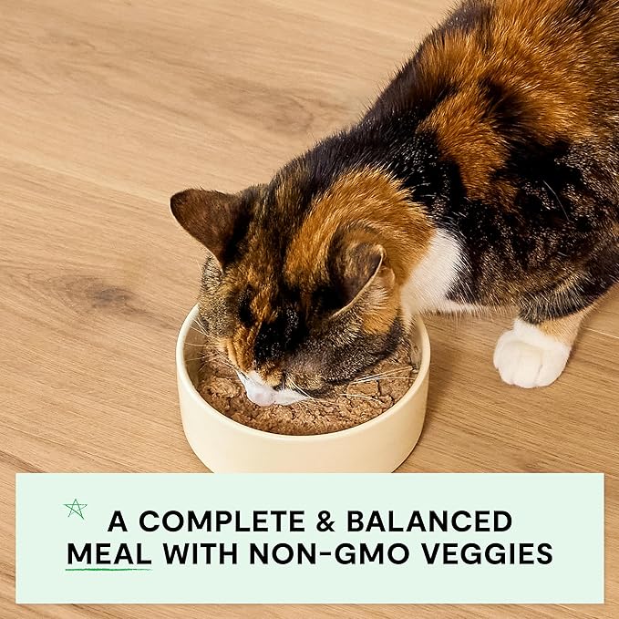 Open Farm Canned Kitten Food, Paté for Complete &amp; Balanced Nutrition, Grain-Free and Legume-Free Wet Kitten Food, Chicken &amp; Salmon Recipe, 2.8oz Cans (Case of 18)
