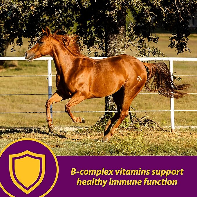 Farnam Horse Health Red Cell Pellets, Vitamin-Iron-Mineral Supplement for Horses, Helps Fill Important Nutritional Gaps in Horse&