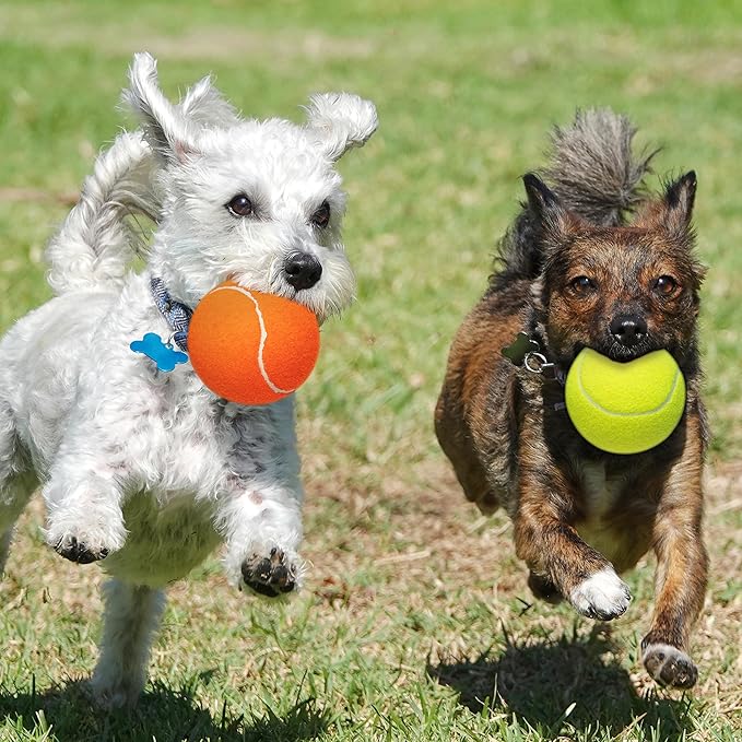 Large Dog Tennis Balls 4-Pack, 4 inch Interactive Big Dog Toy Ball for Small Medium Large Dogs, Dog Toys for Outdoor/Indoor Sports, Fetch, Training &amp; Play