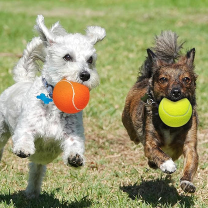 Large Dog Tennis Balls 4-Pack, 4 inch Interactive Big Dog Toy Ball for Small Medium Large Dogs, Dog Toys for Outdoor/Indoor Sports, Fetch, Training &amp; Play
