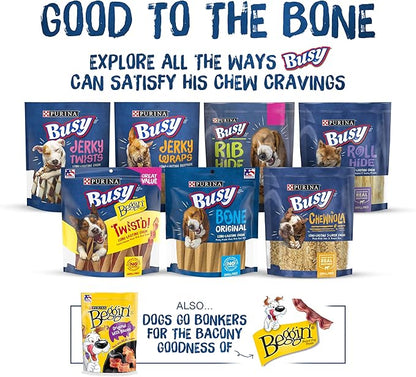 Purina Busy Bone Made in USA Facilities, Long Lasting Small/Medium Breed Adult Dog Chews, Peanut Butter Flavor - 10 ct. Pouch (Pack of 2)