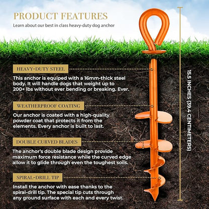 ROYAL-PAW Dog Tie Out Stake - for Large Dogs up to 210 lbs - Heavy Duty Dog Stake for Yard, Beach &amp; Camping Outside - Best in Ground Anchor for a Dog Cable, Leash, Lead Tether (1, Royal Orange)