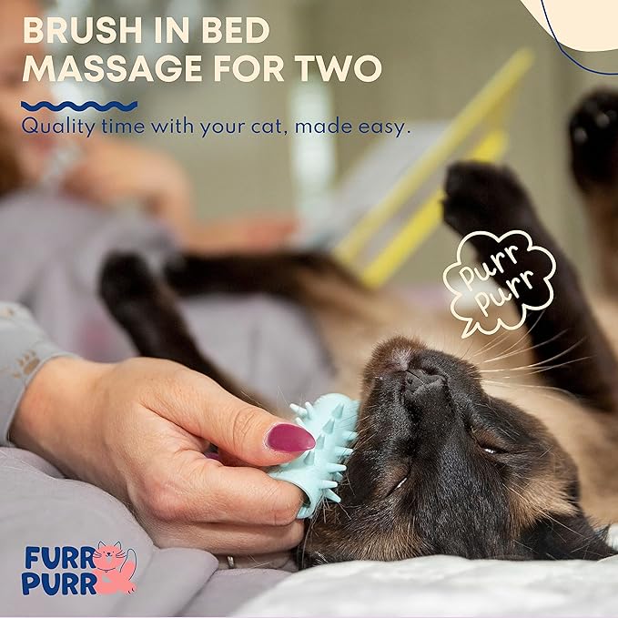 Furr&amp;Purr Cat Brush Set for Indoor Cats - Grooming Tools: Face Scratcher, Calming Massager, and Scratching Pad (2-Pack, Made in the USA)