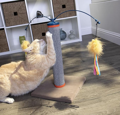 SmartyKat Scratch &