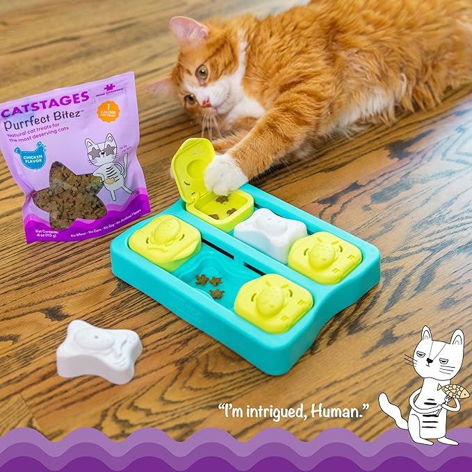 Catstages by Nina Ottosson Purrfect Bitez Natural Crunchy Cat Treats for Puzzles, Toys, Feeders, &amp; Training, USA-Made, Real Chicken Flavor, 4oz (Pack of 2)