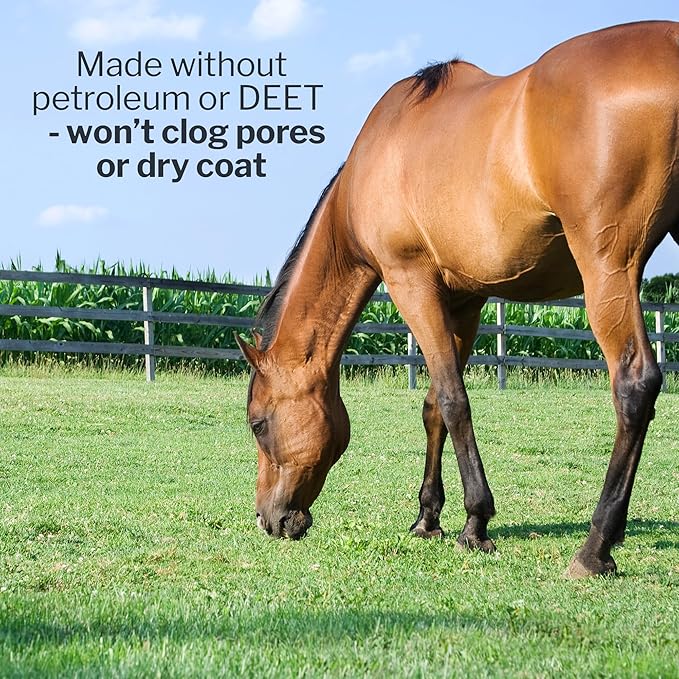 Formula 707 Fly Deny Spray for Horses &amp; Ponies, Sweat-Resistant 14-Day Protection from Flies, Gnats &amp; Mosquitoes, Repels and Kills, 32 Oz