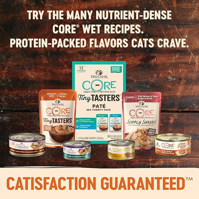 Wellness CORE Tiny Tasters Wet Cat Food, Complete &amp; Balanced Natural Pet Food, Made with Real Meat, 1.75-Ounce Pouch, 12 Pack (Adult Cat, Tuna &amp; Salmon Pate)