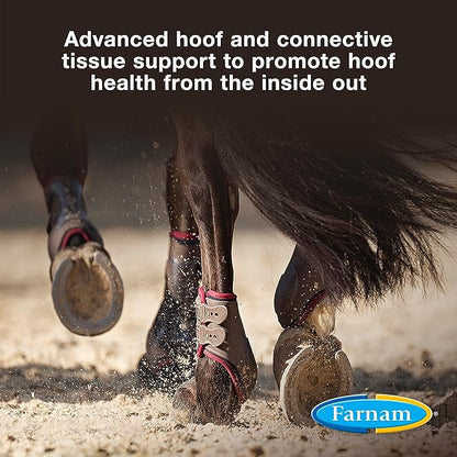 Farnam Horseshoer&