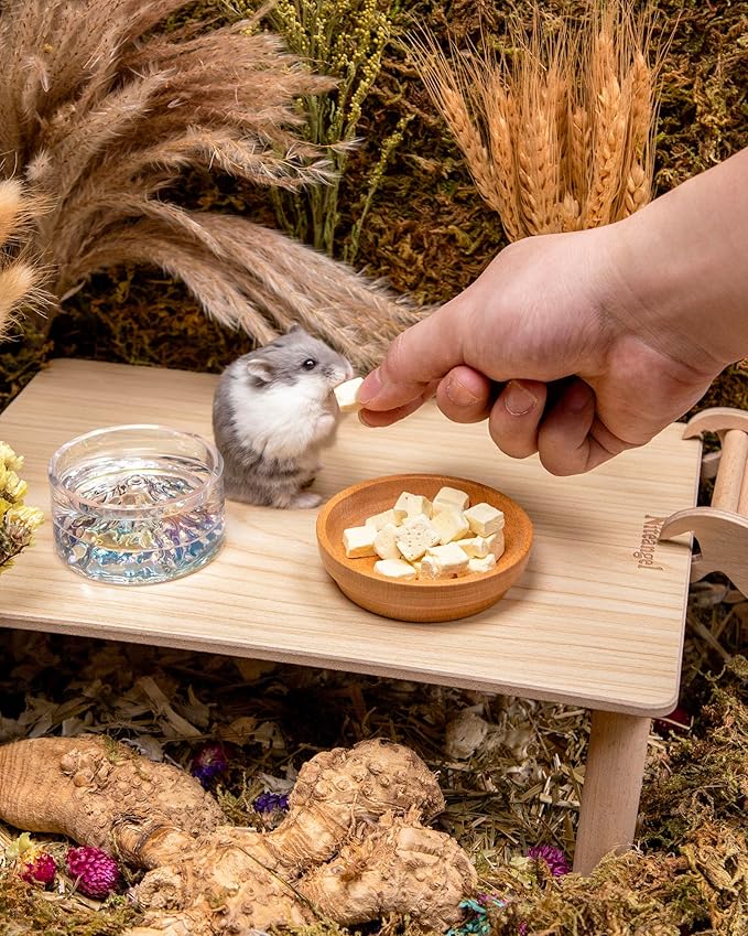 Niteangel Hamster Snack &amp; Treats Toy - Small Animal Natural Treat for Dwarf Syrian Robo Hamsters Gerbils Mice Lemmings Degus or Other Small-Sized Pets