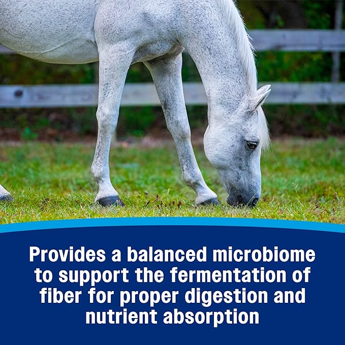 Farnam Hindgut Stabilizer Pellets, Daily Digestive &amp; Immune Supplement for Horses Helps Maintain a Balanced Microbiome for Optimal Digestion