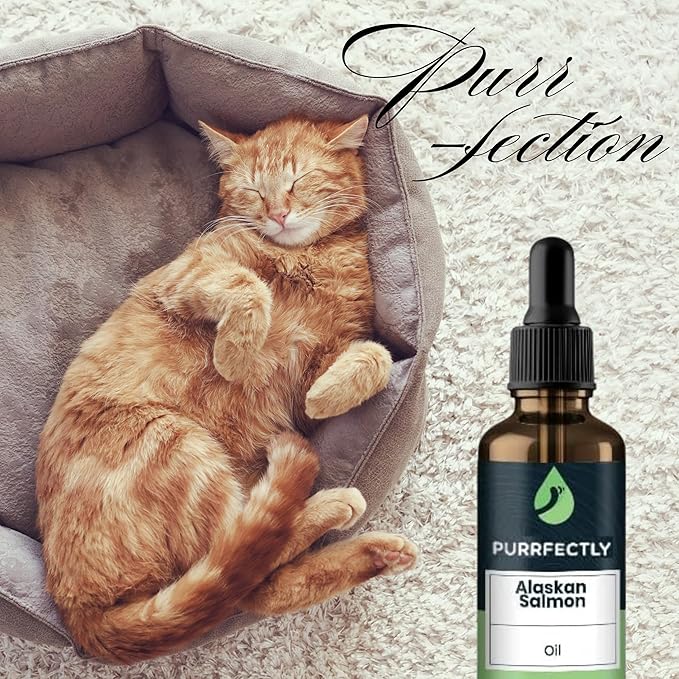PURRFECTLY Omega-3 Fish Oil for Cats | Premium Senior Blend | Promotes Heart, Immune, Coat &amp; Joint Health | Advanced Alaskan Salmon Oil for Aging Cats | Omega 3, 6 &amp; 9 EPA &amp; DHA (4 Fl Oz (Pack of 1)