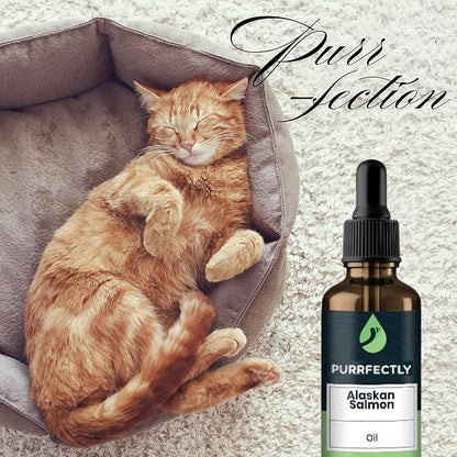 PURRFECTLY Omega-3 Fish Oil for Cats | Premium Senior Blend | Promotes Heart, Immune, Coat &amp; Joint Health | Advanced Alaskan Salmon Oil for Aging Cats | Omega 3, 6 &amp; 9 EPA &amp; DHA (4 Fl Oz (Pack of 1)