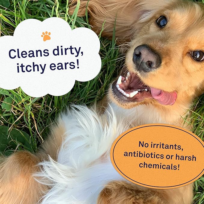 Petpost | Large Dog Ear Cleaner Wipes - Ultra Soft XL Cotton Pads in Coconut Oil Aloe Solution - Remedy for Dog Ear Rinse &amp; Cleanser 60 ct.