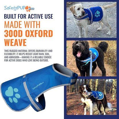 Dog Reflective Vest – Hi-Vis Fluorescent Visibility That Helps to Safeguard Your Pet On/Off Leash in Urban &amp; Rural Areas (Blue, Medium)