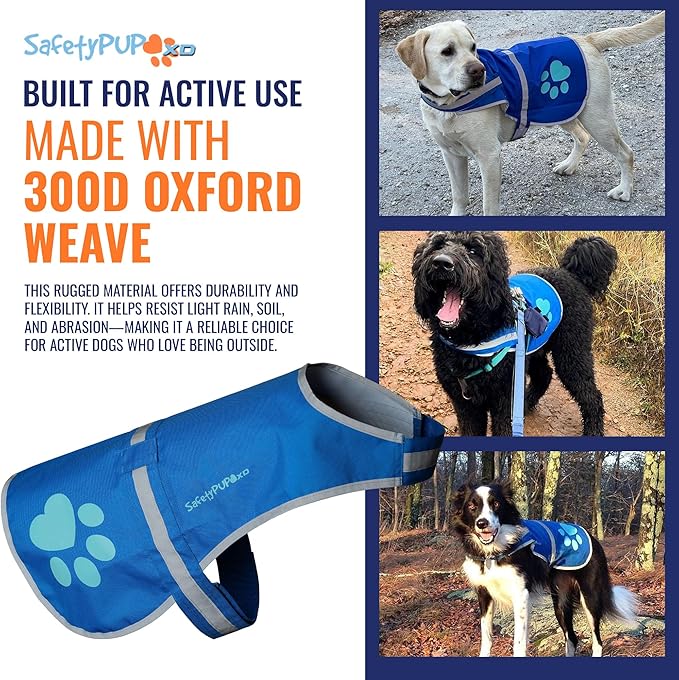 Dog Reflective Vest – Hi-Vis Fluorescent Visibility That Helps to Safeguard Your Pet On/Off Leash in Urban &amp; Rural Areas (Blue, Large)